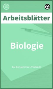 Arbeitsblätter Biologie Bau Des Vogelkörpers Arbeitsblatt PDF mit Lösungen