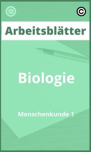 Arbeitsblätter Biologie Menschenkunde 1 mit Lösungen PDF