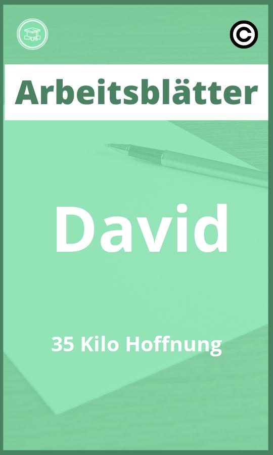 Arbeitsblätter David 35 Kilo Hoffnung mit Lösungen PDF