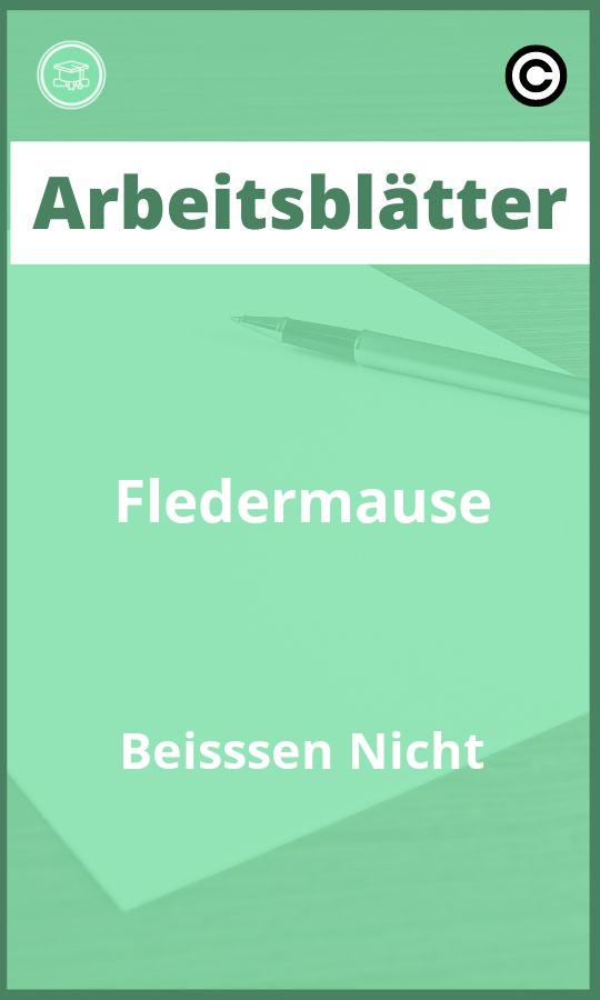 Arbeitsblätter Fledermäuse Beißen Nicht PDF Lösungen