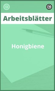 Arbeitsblätter Honigbiene mit Lösungen PDF