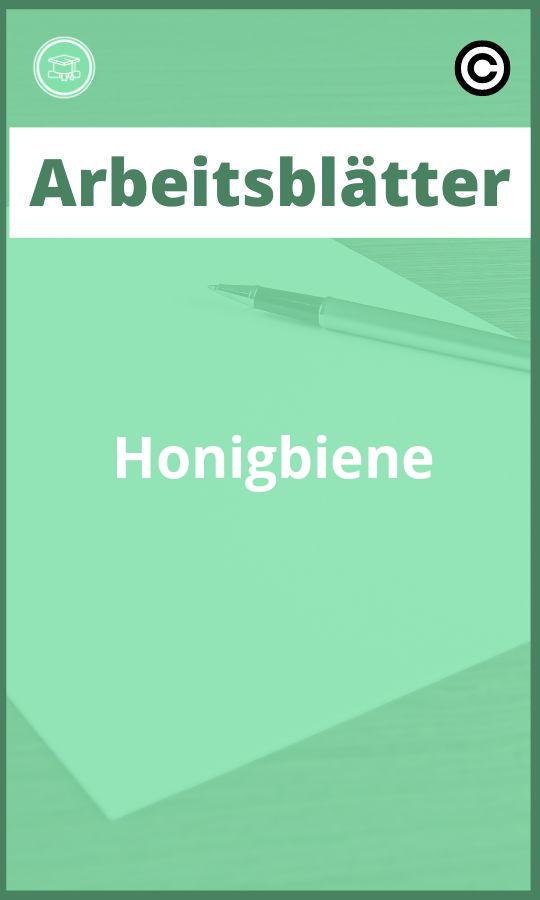 Arbeitsblätter Honigbiene Lösungen PDF