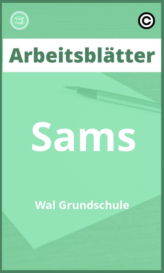 Arbeitsblätter Sams Wal Grundschule Lösungen PDF