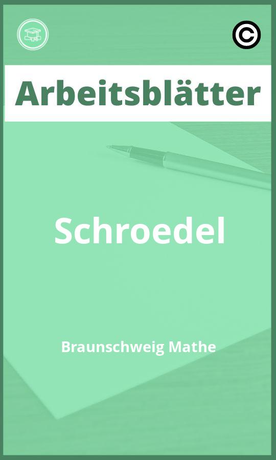 Schroedel Braunschweig Mathe Arbeitsblätter PDF Lösungen