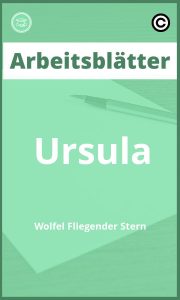 Arbeitsblätter Ursula Wölfel Fliegender Stern Lösungen PDF