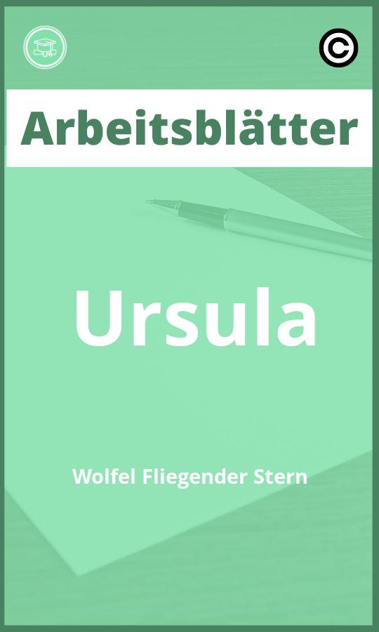 Ursula Wölfel Fliegender Stern Arbeitsblätter PDF mit Lösungen