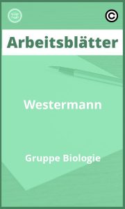 Westermann Gruppe Biologie Arbeitsblätter PDF Lösungen